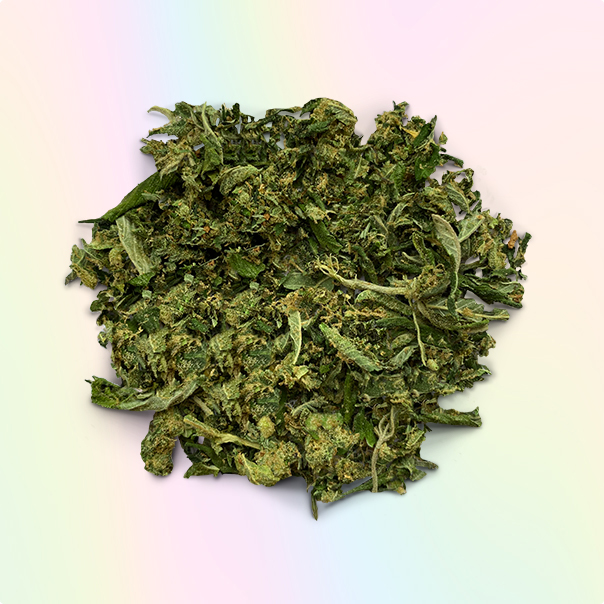 BUY SKYWALKER SHAKE ONLINE (HYBRID)