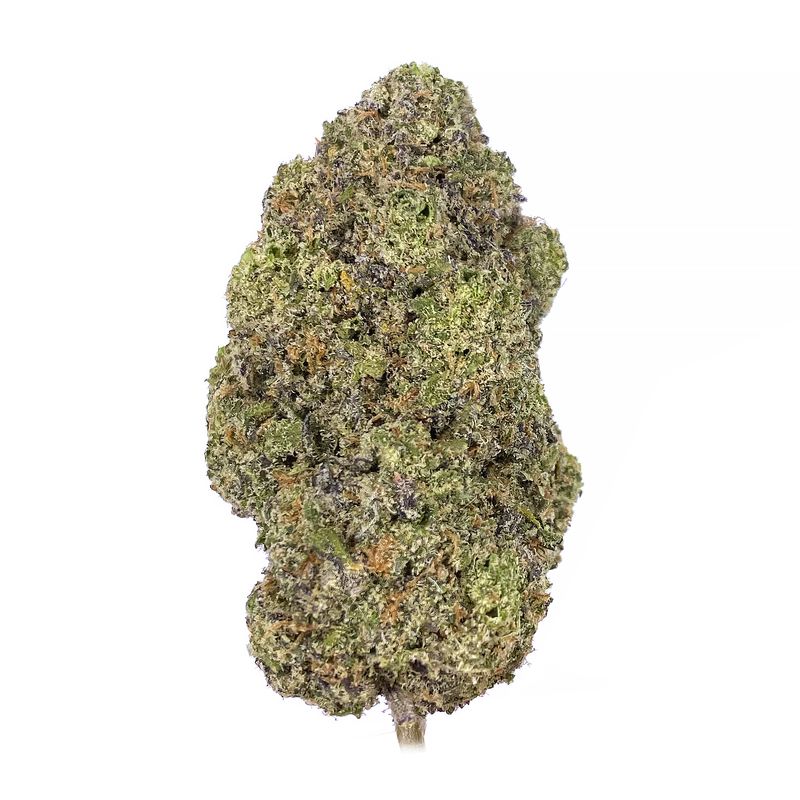 Buy Amnesia Haze Strain Online US