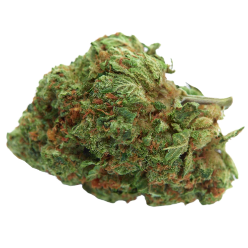 Buy G13 Strain Online US