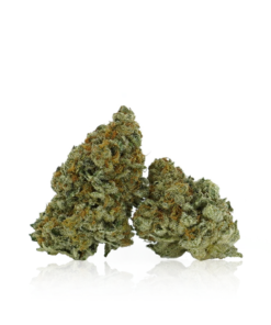 Buy Granddaddy Purple Online US