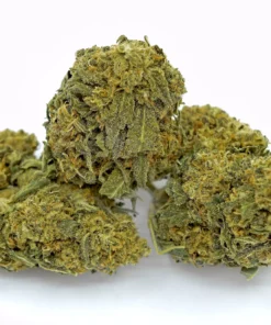 Buy Green Dragon Strain Online US