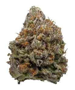 Buy Lavender Kush Strain Online US
