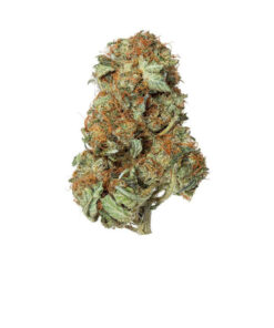 Buy MK Ultra Strain Online UK