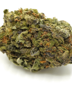 Buy Mr. Nice Guy Strain Online US