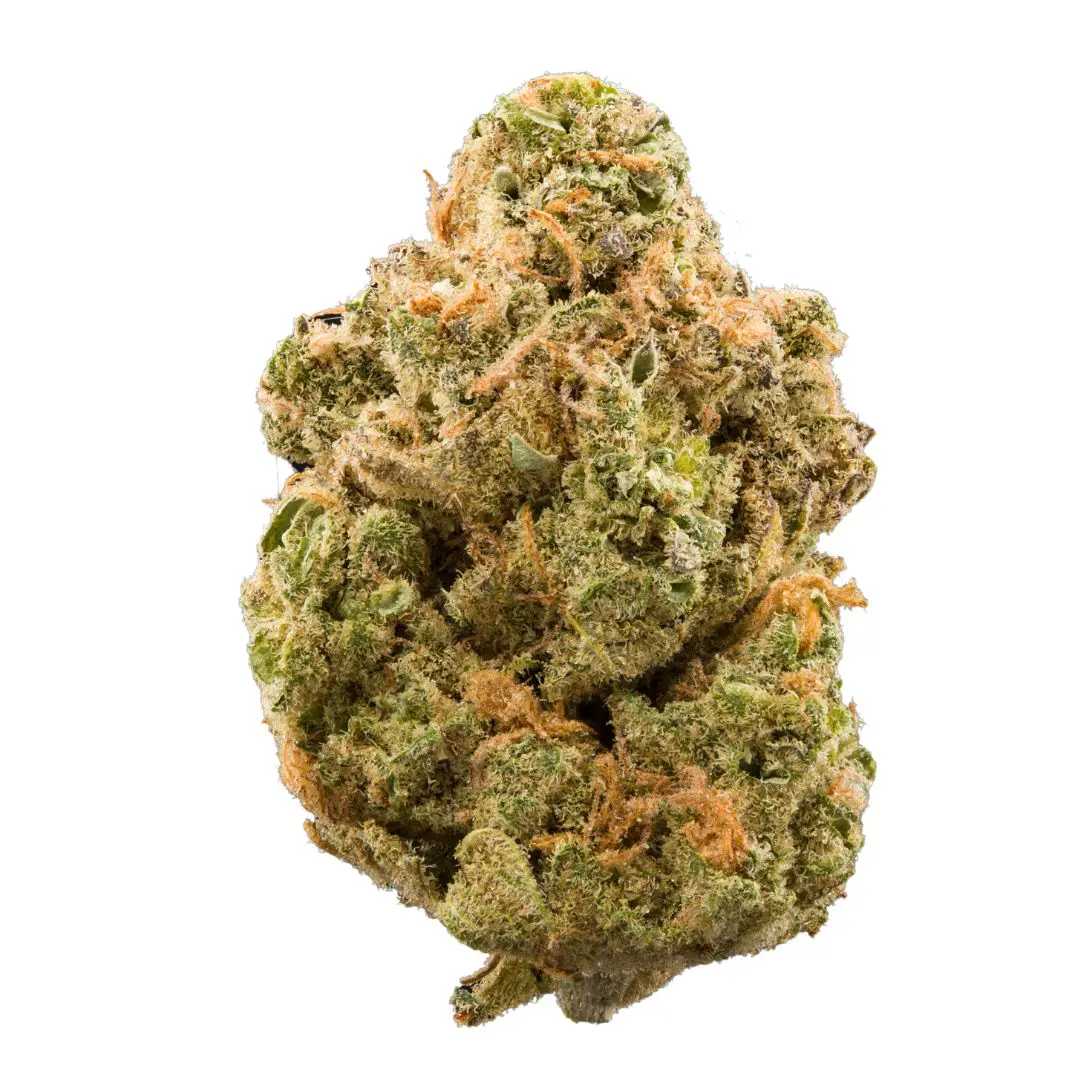 Buy Stardawg Strain Online in the UK