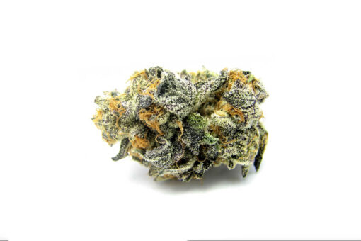 Buy Sugar Cookies Strain Online in the US