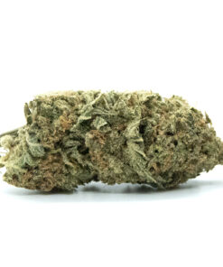 Buy Super Silver Haze Strain Online US